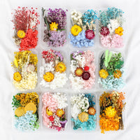 28. Complete Set (10% OFF)