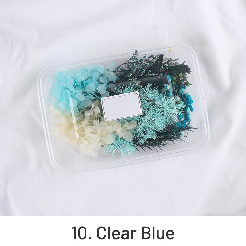 Air-Dried Real Flower Boxed Preserved Floral Material Pack sku-10