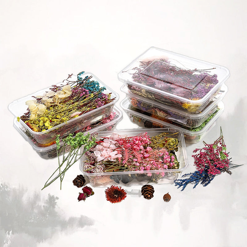 Decorative Boxed Dried Preserved Flowers b