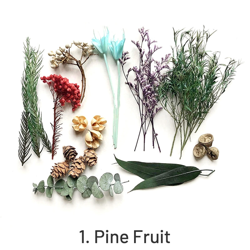 Decorative Boxed Dried Preserved Flowers sku-1