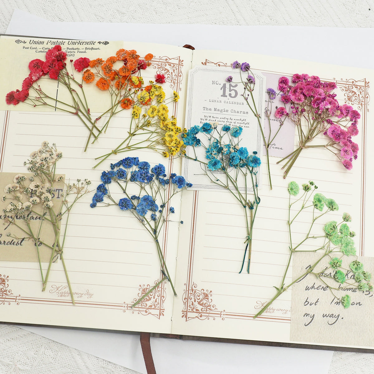 Babys Breath DIY Dried Flower Material Pack 4