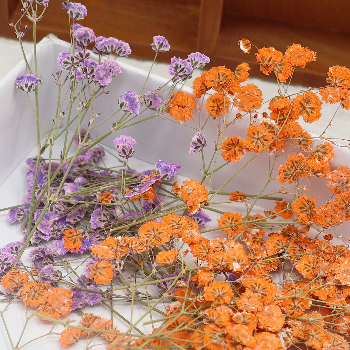Babys Breath DIY Dried Flower Material Pack 2