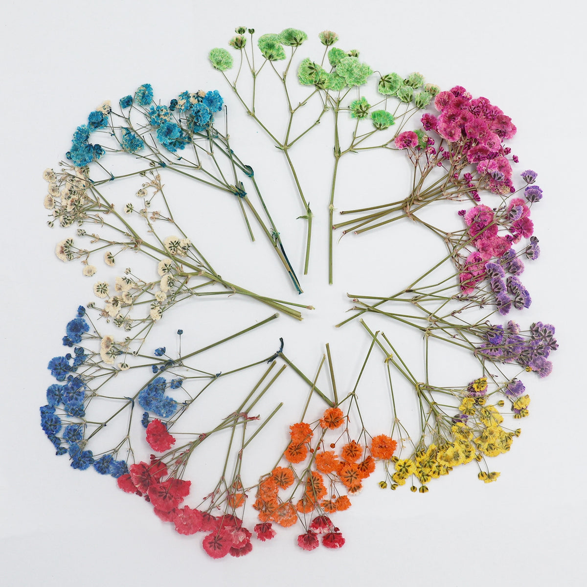 Babys Breath DIY Dried Flower Material Pack 6