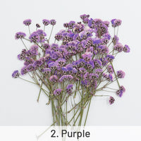 2. Purple