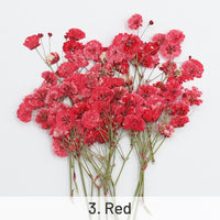 3. Red