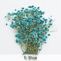 5. Blue