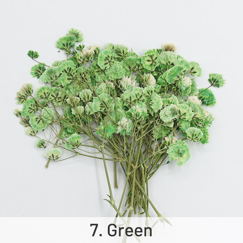 Babys Breath DIY Dried Flower Material Pack sku-7