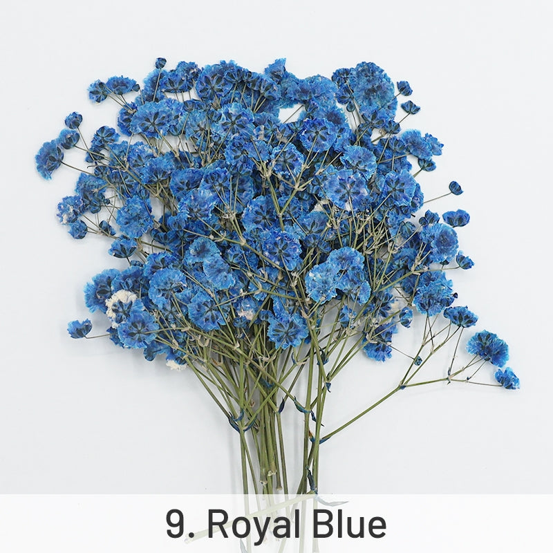 Babys Breath DIY Dried Flower Material Pack sku-9