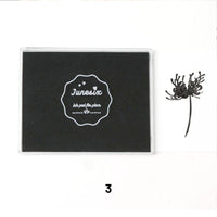 3.Schwarz